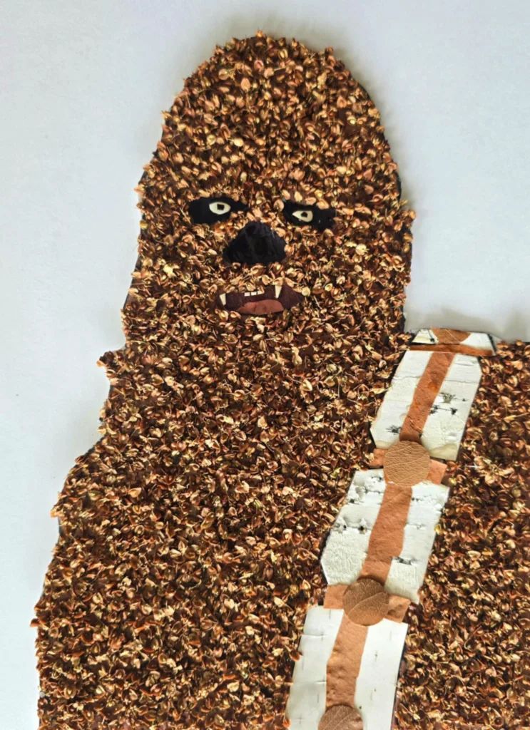 rough dried seeds are glued onto paper in the shape of Chewbacca