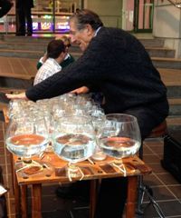 Man playing a glass harp; a musical instrument made of upright wine glasses.