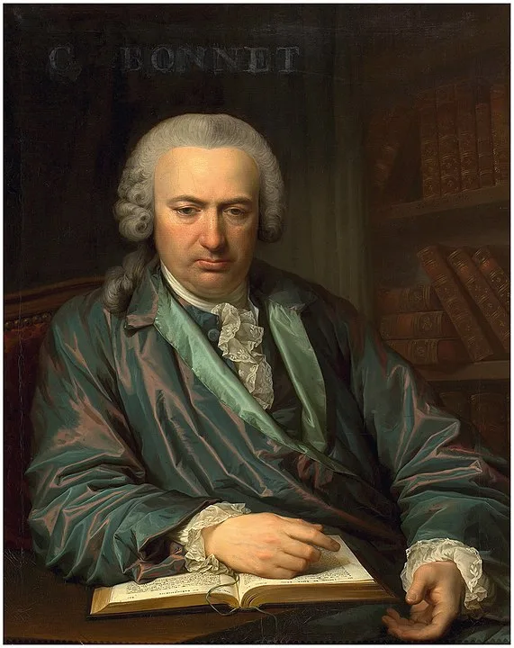 Jens Juel, Portrait of Charles Bonnet Oil. 1777, Bibliothèque de Genève. Juel painted two identical portraits of Bonnet in Genève, the other one is in the collection of the Royal Danish Academy of Fine Arts.