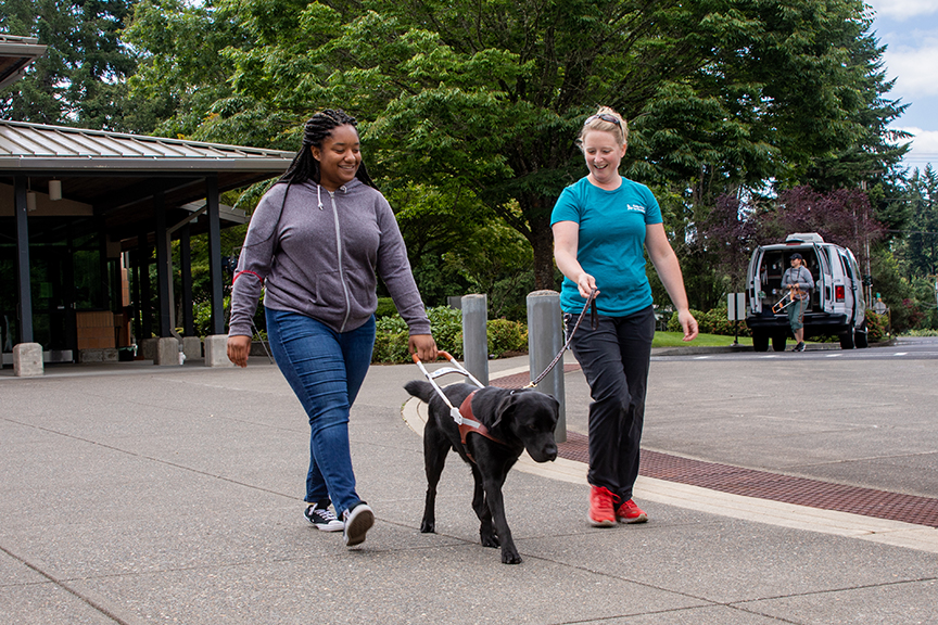 adolescent girl walking with harness and instructor walking with leash of a black lab