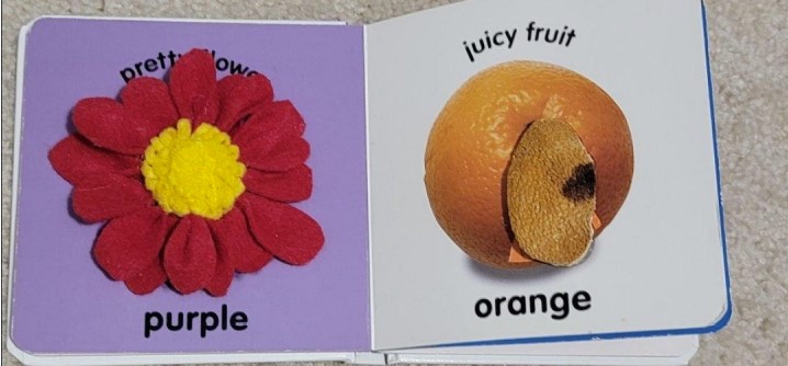 On the left page of the cardboard book, there is a handmade tactile flower that represents the text “pretty flower”. On the right page, there is orange peel glued to the page, which represents the text “juicy fruit orange”.