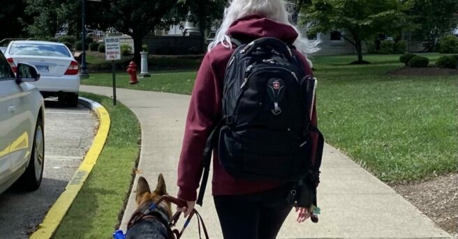 A female college student walks with a black backpack on. She has white hair and a maroon sweatshirt on. To her left is a black and tan German Shepherd walking beside her. The college student is holding onto a brown leather harness and the German Shepherd is guiding her. 