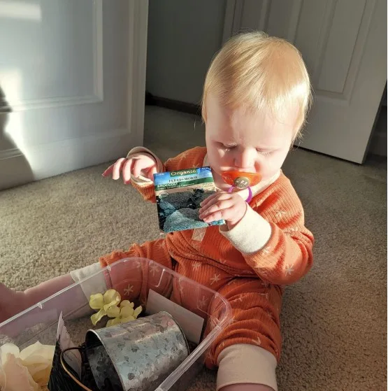 Dominic is playing with a spring sensory box. He is holding a pack of broccoli seeds.