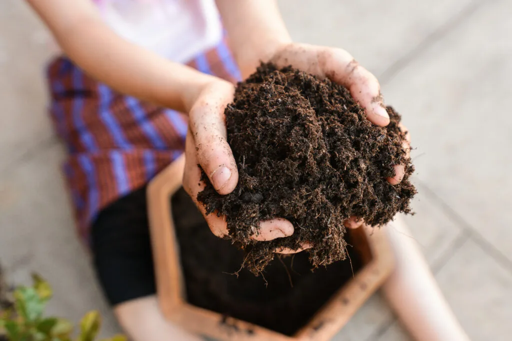 Child playing in dirt.