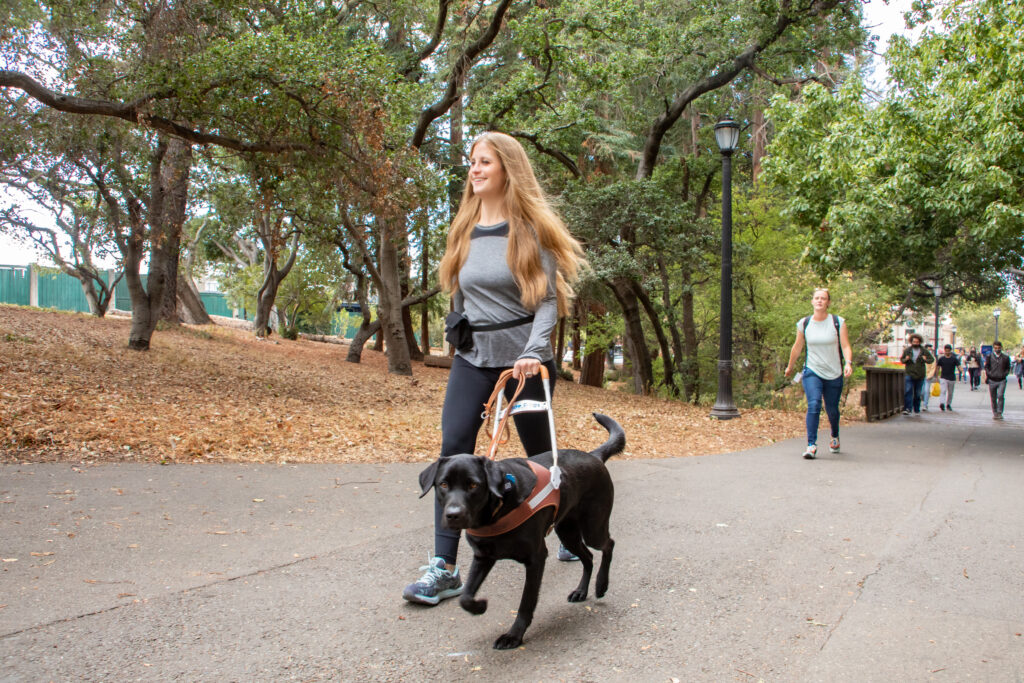 Person walking with a guide dog 