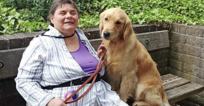 A person sits next to a golden retriever on a park bench.