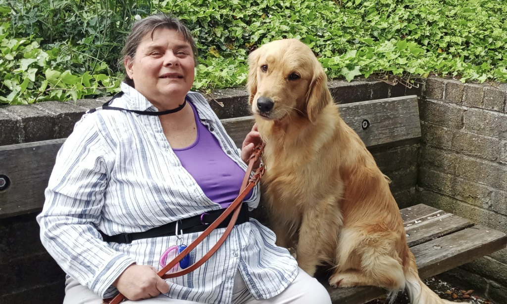 A person sits next to a golden retriever on a park bench.