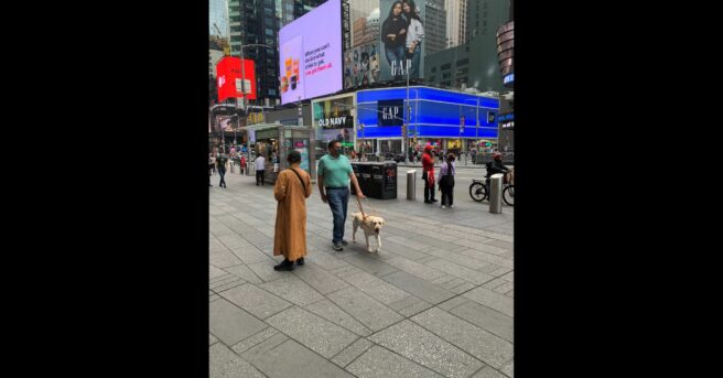 A person and their dog guide walk in New York City.