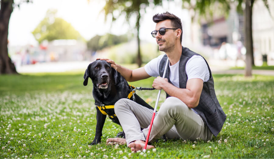A visually impaired man sitting in a park with his service dog.