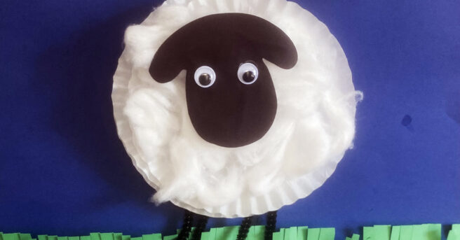 Tactile craft of sheep