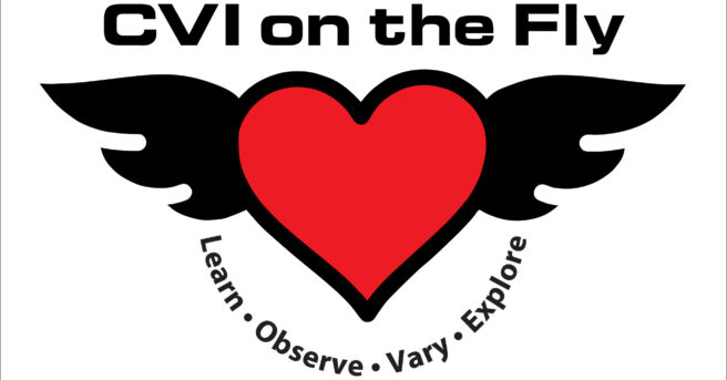 CVI on the FLY. Red heart with wings. Learn, Observe, Vary, Explore written beneath