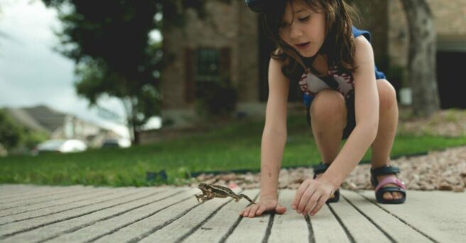 Child trying to catch a frog