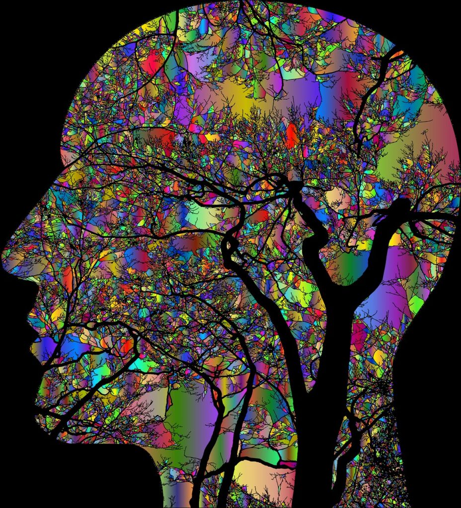 graphic of a head filled with various colors and patterns