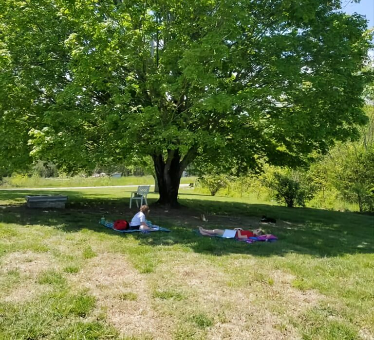 Two children studying under a tree outside.