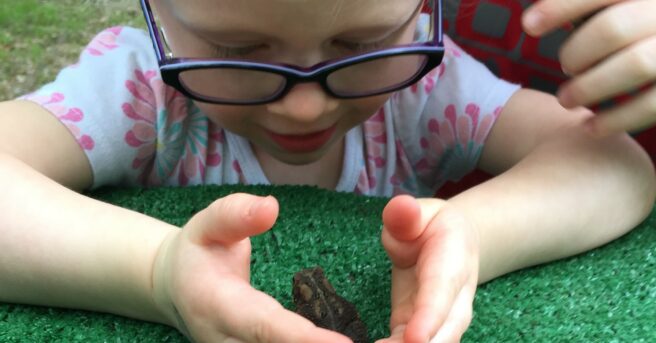 A toddler wearing glasses examining a frog in her hands