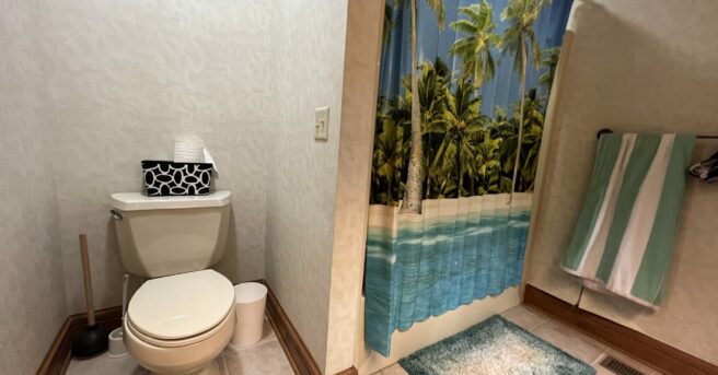 A bathroom with at toilet and shower.