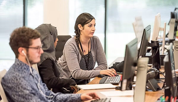 Group of multi-ethnic employees working