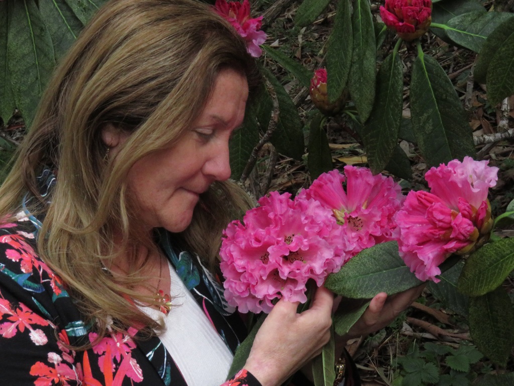 Maribel Looking at a Pink Flower. picture by Harry Williamson