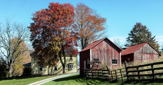 house with two red roofed barns and fall foliage