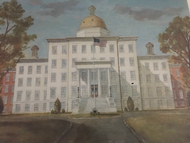 picture of white school with gold dome and flag in front