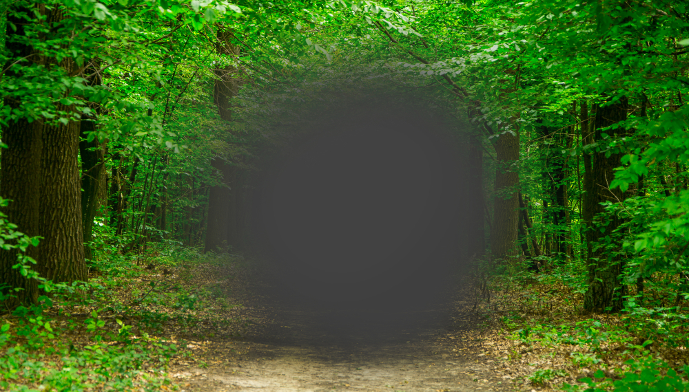 Photo of forest with large gray dot in the center.