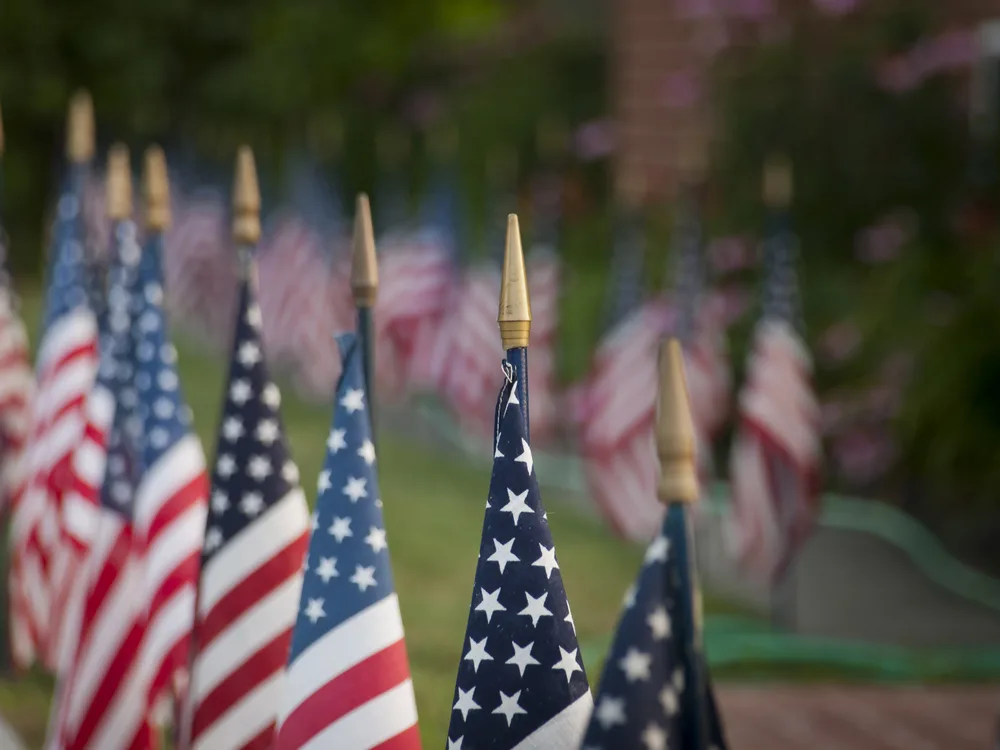 Small American flags planted in the ground