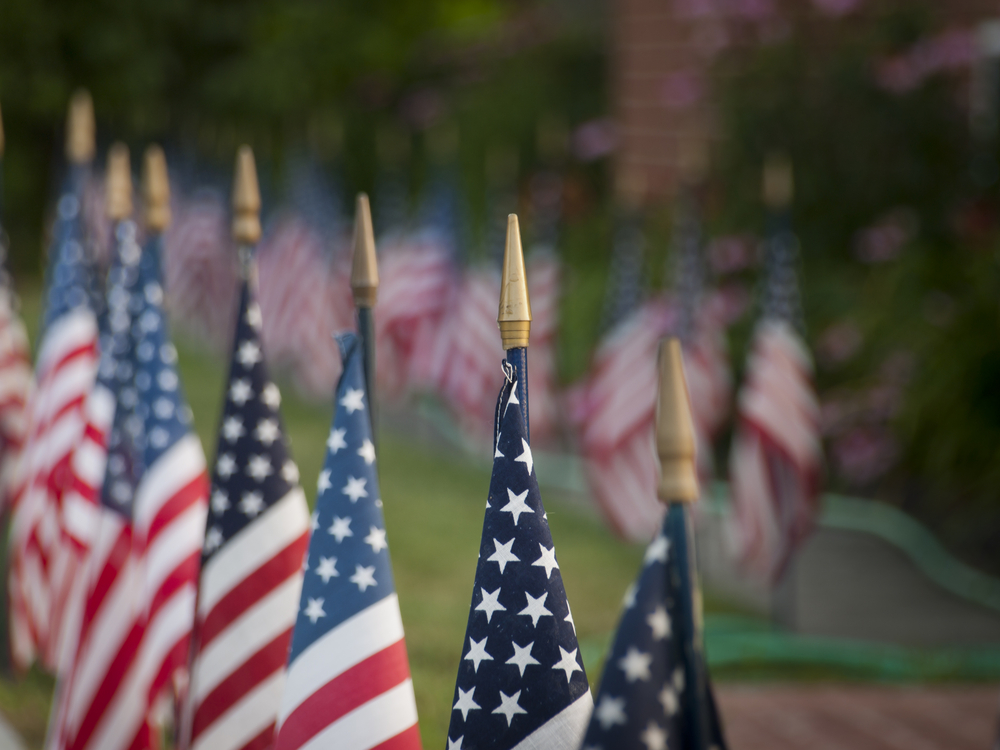 Small American flags planted in the ground