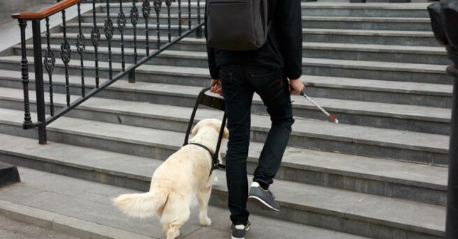 young adult with professional backpack climbs steps with white cane and guide dog in harness