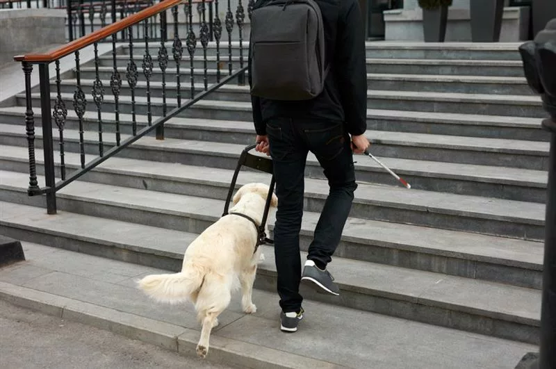 young adult with professional backpack climbs steps with white cane and guide dog in harness