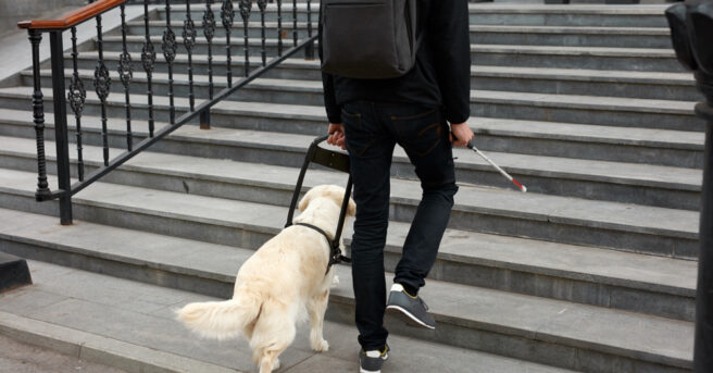 Person walking up building steps using a white cane and dog guide