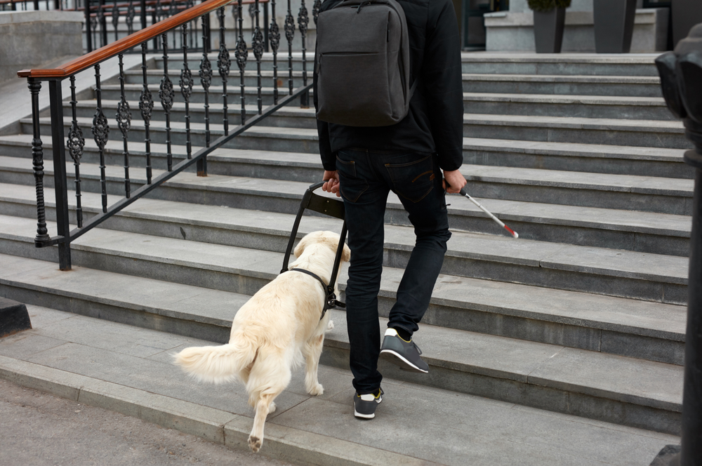 Person walking up building steps using a white cane and dog guide