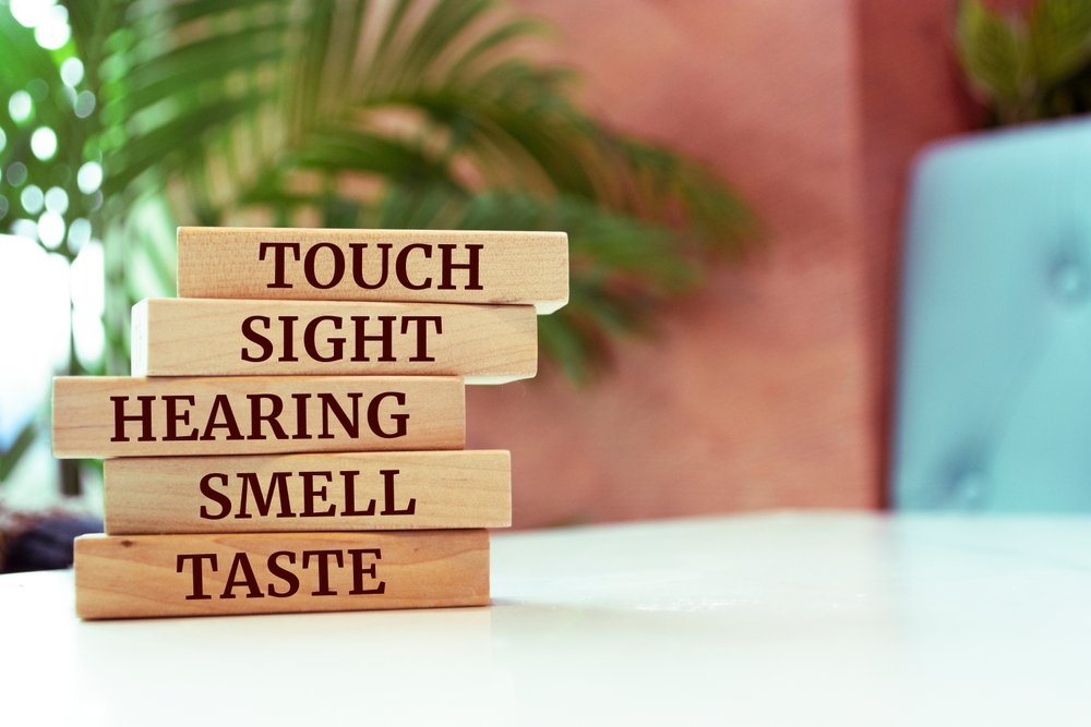 stacked blocks with text: Touch, Sight, Hearing, Smell, Taste