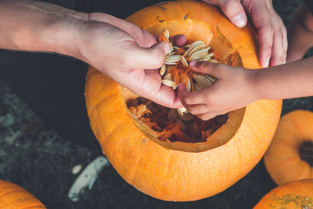 A close up of daughter and father's hands who pulls seeds and fibrous material from a pumpkin before carving for Halloween.