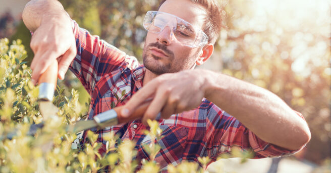 Person wearing protective eye goggles and trimming a bush