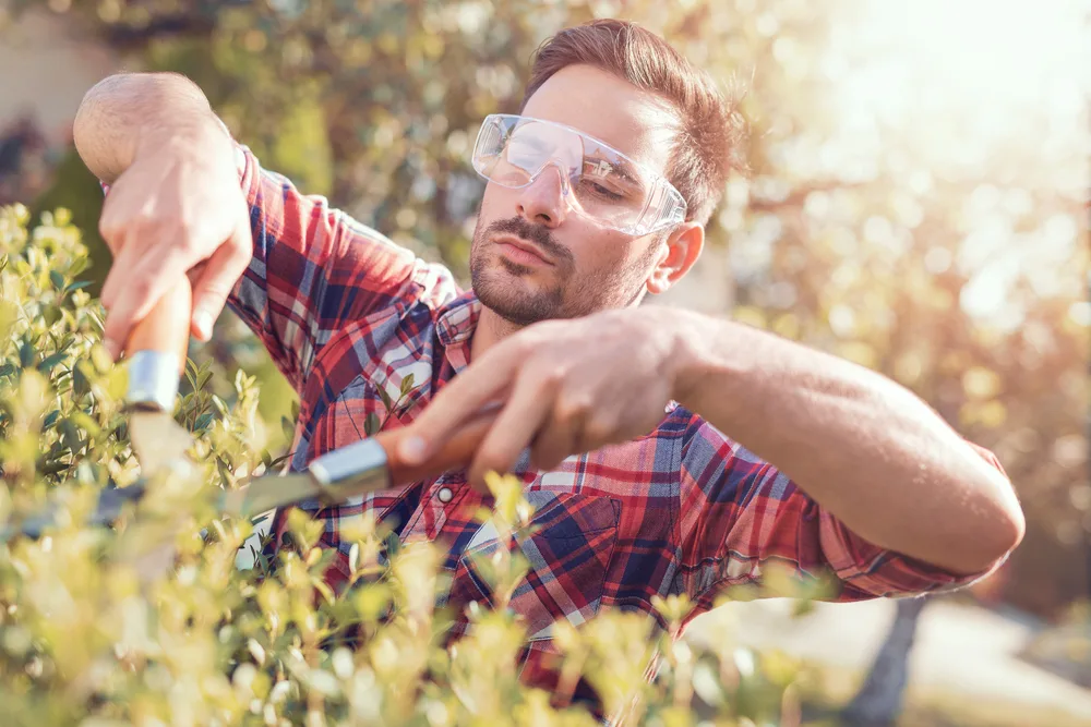 Person wearing protective eye goggles and trimming a bush